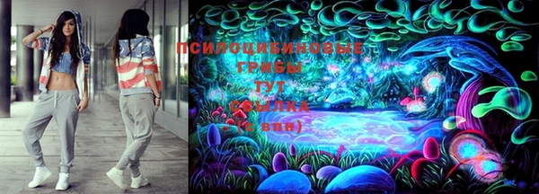 тгк Балахна