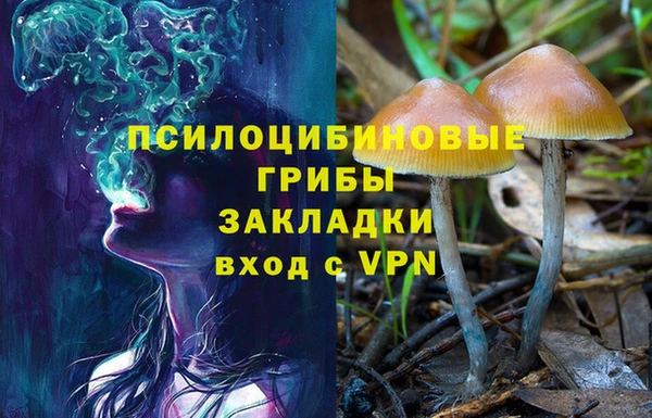 2c-b Балабаново
