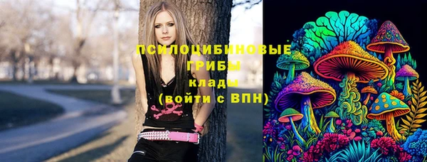 тгк Балахна