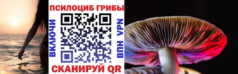 блэк спрут маркетплейс  сколько стоит  Корсаков  Псилоцибиновые грибы Magic Shrooms 